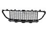 GRIGLIA P/TI ANT C/LE BMW SERIE 3 F30-F31 06/11> M-TECH